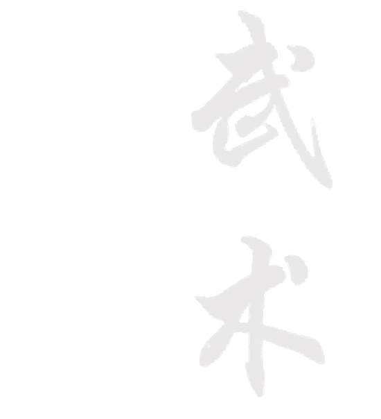 Ecriture Wushu en chinois