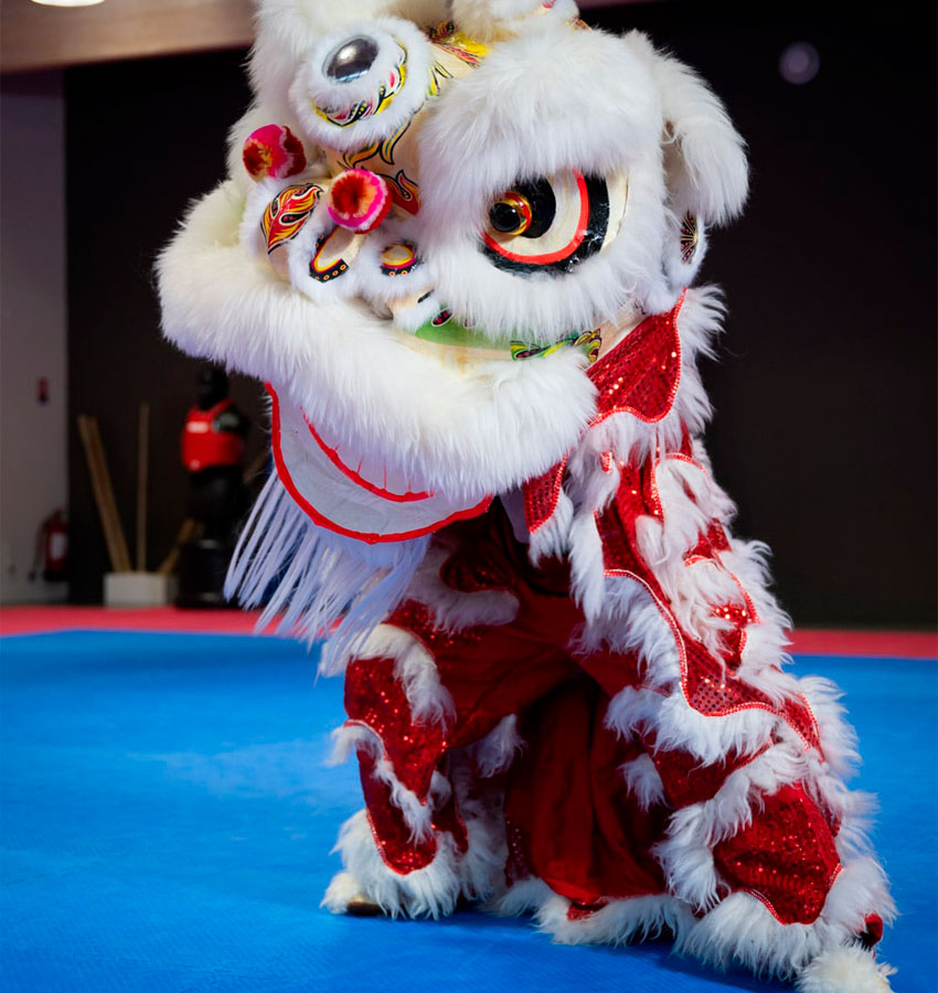 Sport adapté Saint Sauveur Kung Fu Wushu