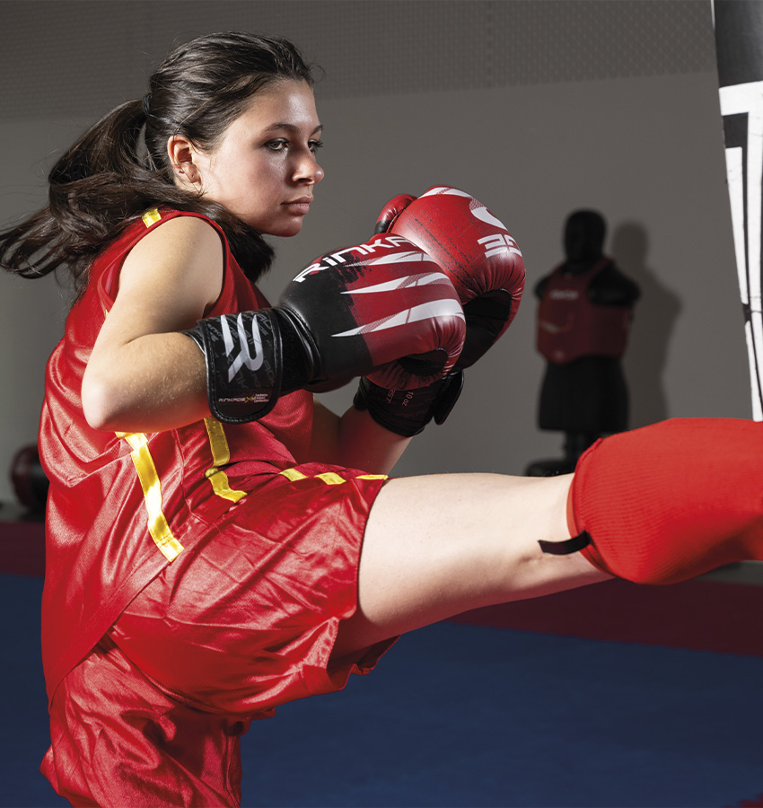 Ecole Sanda Boxe Chinoise Arts Martiaux Jean Luc Jalao