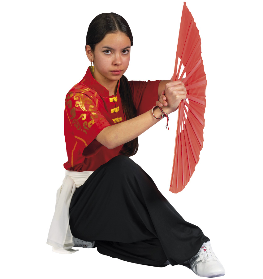 Kung Fu Wushu Arts Martiaux Chinois à Saint-Sauveur