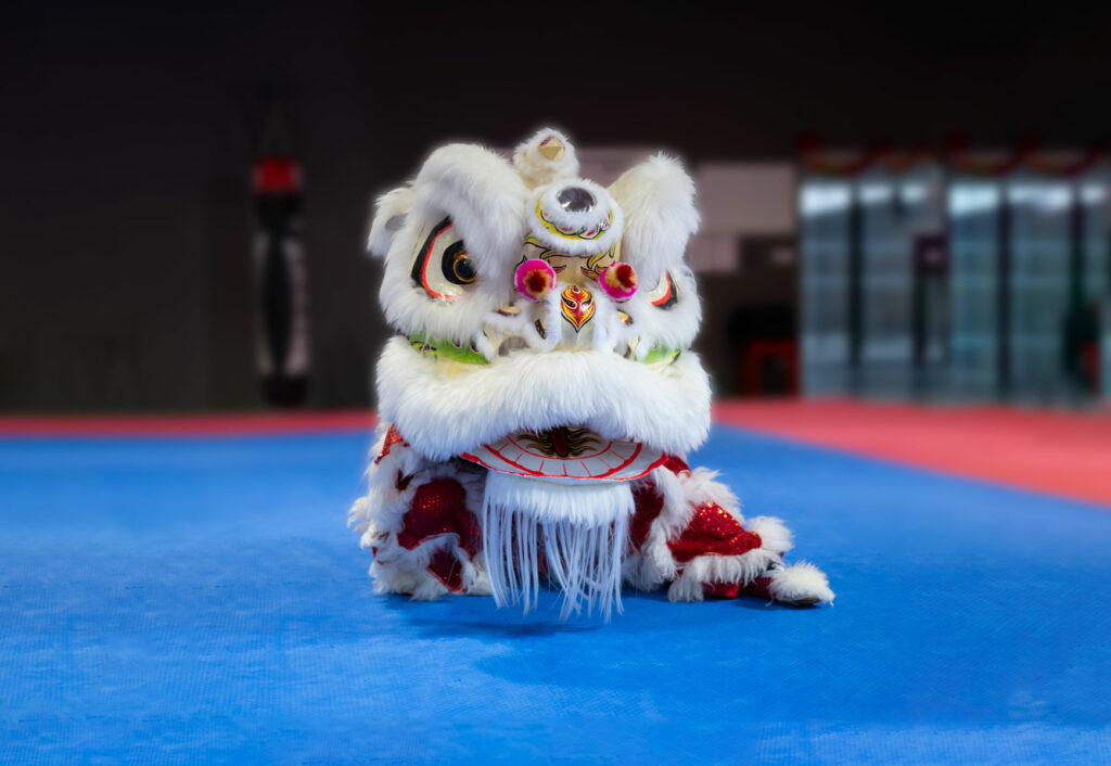 Des démonstrations d’arts martiaux à Toulouse et dans ses alentours avec Danse du Lion Kung Fu Wushu