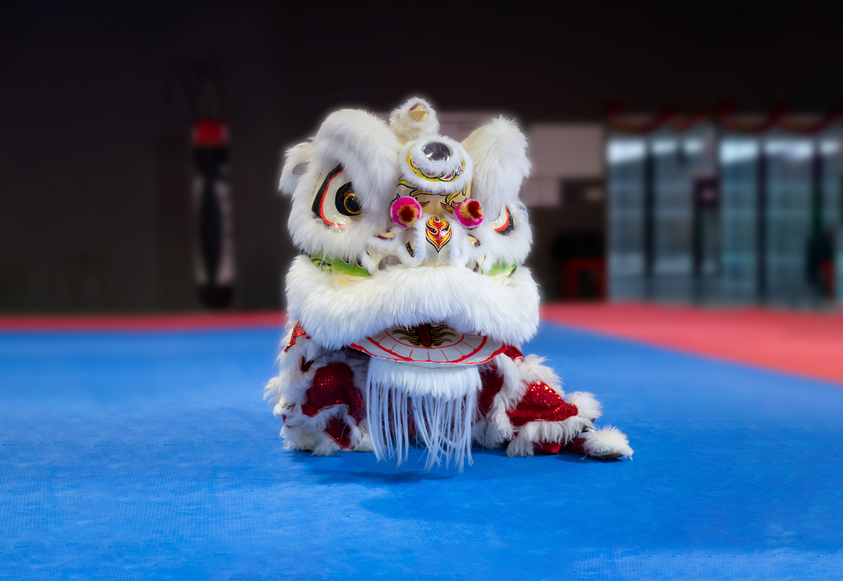 Des démonstrations d’arts martiaux à Toulouse et dans ses alentours avec Danse du Lion Kung Fu Wushu