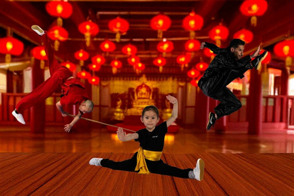 Wushu moderne à Toulouse