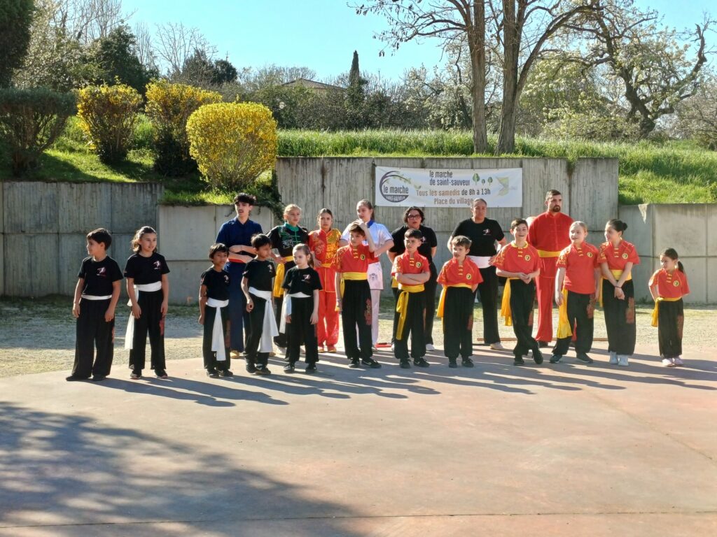 Carnaval de Saint Démonstration de l'école associative AMC Wushu à Sauveur en mars 2026