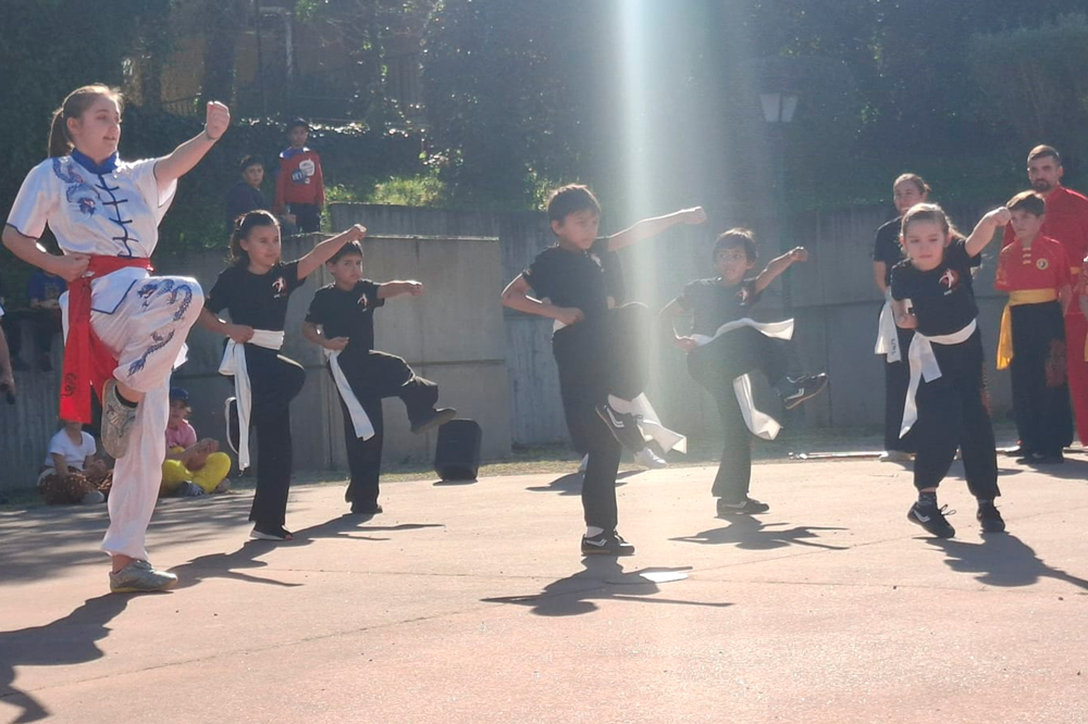 Retour sur la démonstration AMC Wushu du 21 mars 2026 au carnaval de Saint-Sauveur, un moment fort de partage, de rigueur et de passion.
