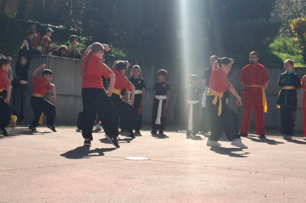 Retour sur la démonstration AMC Wushu du 21 mars 2026 au carnaval de Saint-Sauveur, un moment fort de partage, de rigueur et de passion.