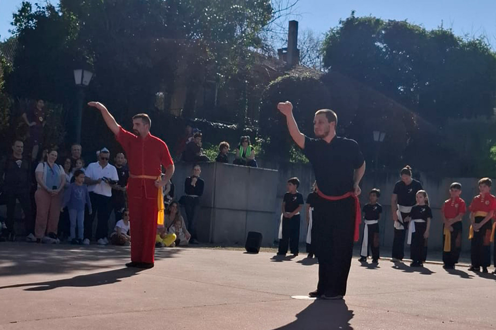 Retour sur la démonstration AMC Wushu du 21 mars 2026 au carnaval de Saint-Sauveur, un moment fort de partage, de rigueur et de passion.