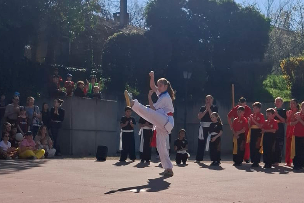 Retour sur la démonstration AMC Wushu du 21 mars 2026 au carnaval de Saint-Sauveur, un moment fort de partage, de rigueur et de passion.