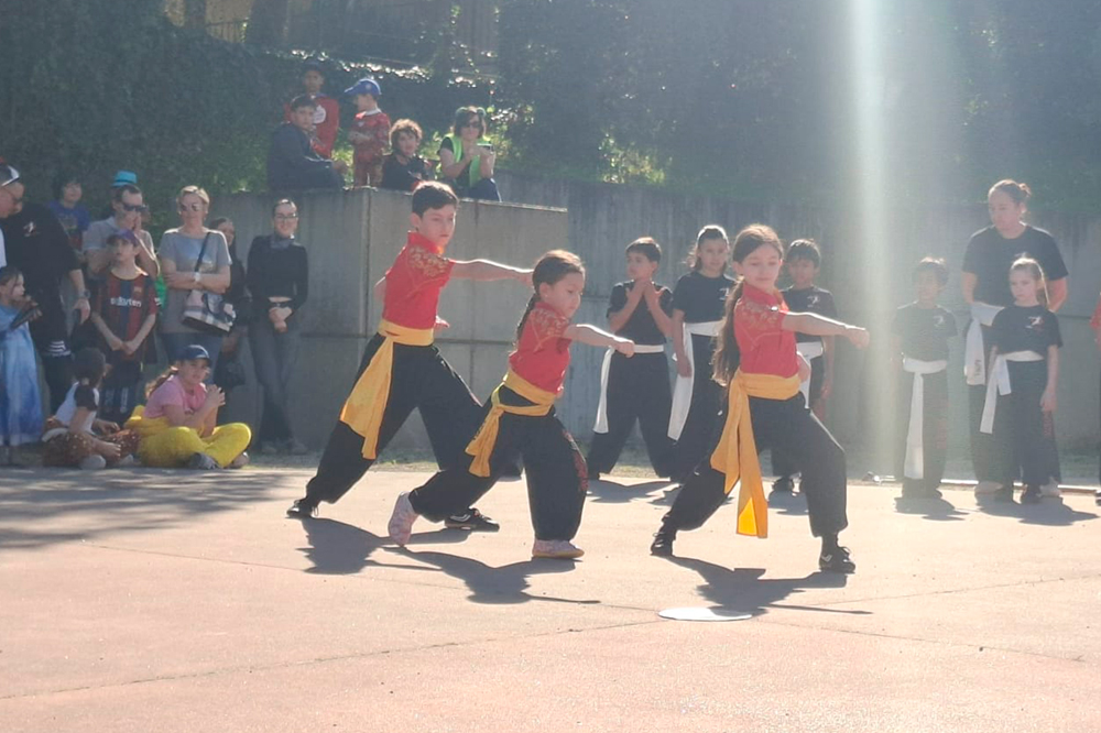 Retour sur la démonstration AMC Wushu du 21 mars 2026 au carnaval de Saint-Sauveur, un moment fort de partage, de rigueur et de passion.