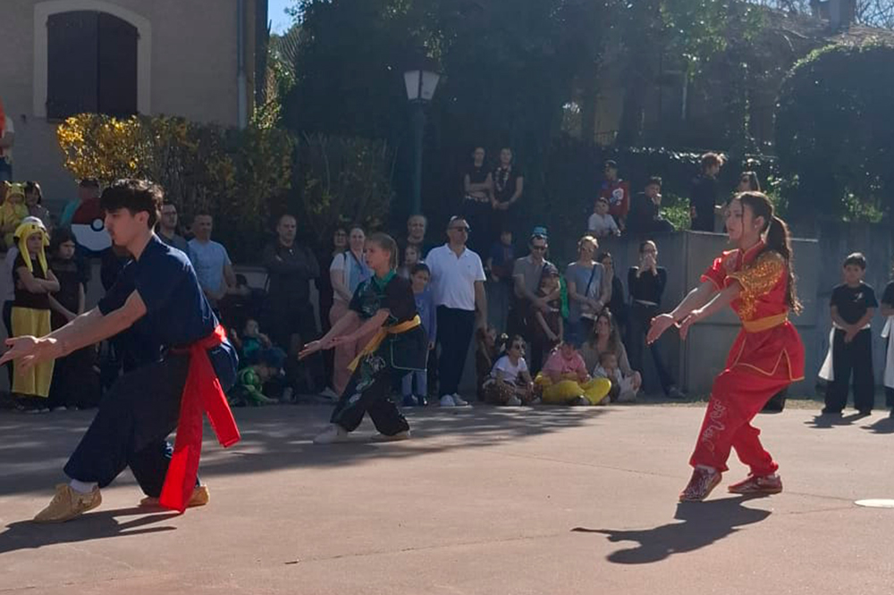 Retour sur la démonstration AMC Wushu du 21 mars 2026 au carnaval de Saint-Sauveur, un moment fort de partage, de rigueur et de passion.