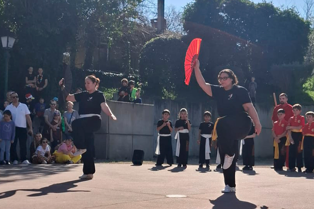 Retour sur la démonstration AMC Wushu du 21 mars 2026 au carnaval de Saint-Sauveur, un moment fort de partage, de rigueur et de passion.