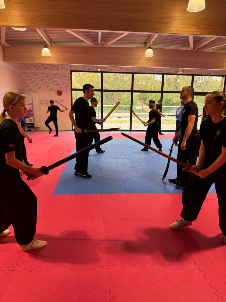 Retour sur le stage de Kung-Fu organisé à Saint-Sauveur les 28 et 29 mars 2026 autour du Bing Dao et du Gong Fang, en partenariat avec KFAT.