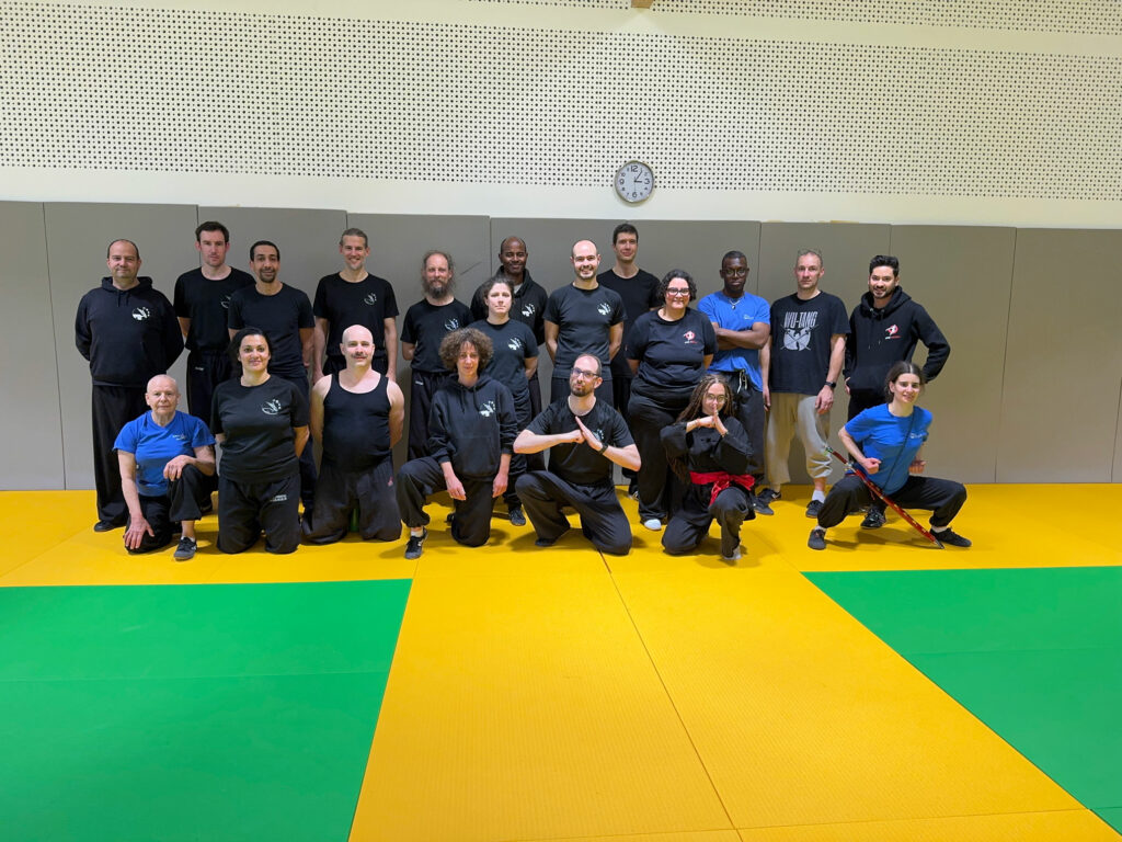 Retour sur le stage de Kung-Fu organisé à Saint-Sauveur les 28 et 29 mars 2026 autour du Bing Dao et du Gong Fang, en partenariat avec KFAT.