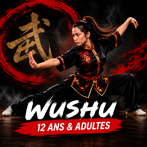 image_wushu_adulte_ados Cours de kung fu wushu ados et adultes Nord Toulousain Saint Sauveur