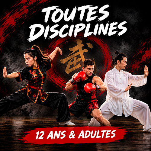 image_wushu_boxe_taiji_ados_adulte Cours de kung fu wushu boxe prépa physique ados et adultes Nord Toulousain Saint Sauveur